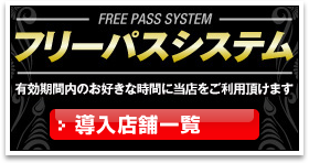 フリーパスシステム