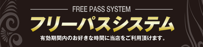 フリーパスシステム