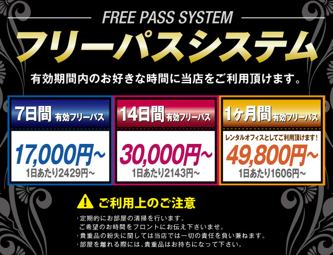 フリーパスシステム